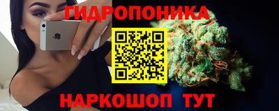 спайс Обь