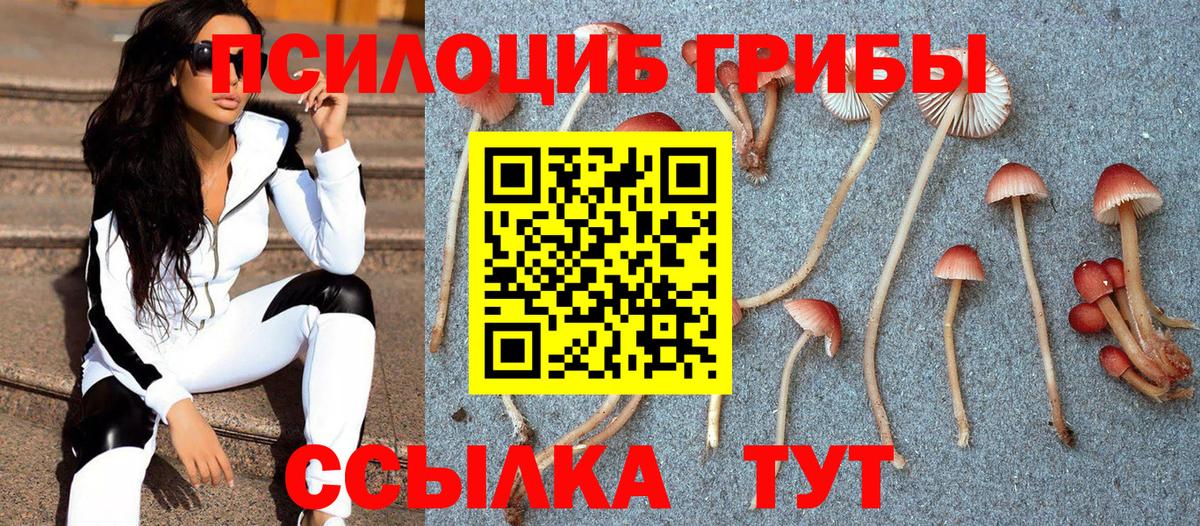 Галлюциногенные грибы Cubensis Усть-Илимск