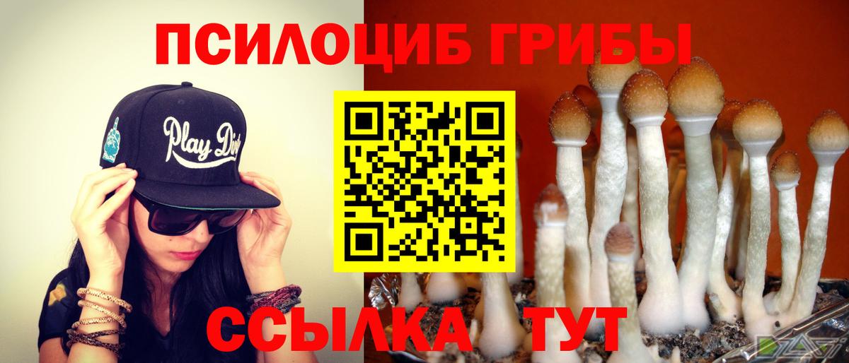 Галлюциногенные грибы ЛСД  Вход с VPN  Галлюциногенные грибы Psilocybine cubensis  Усть-Илимск 